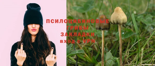 бутират Покров