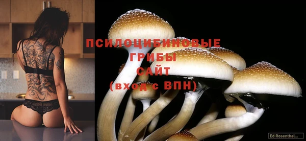 бутират Покров