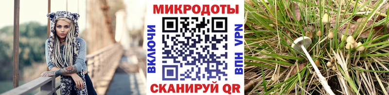 Псилоцибиновые грибы ЛСД  Бабушкин 